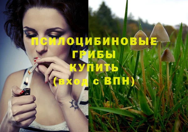 крисы Беломорск