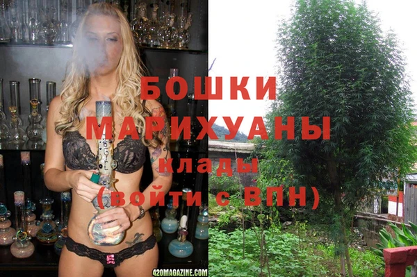 прущие крисы Бородино