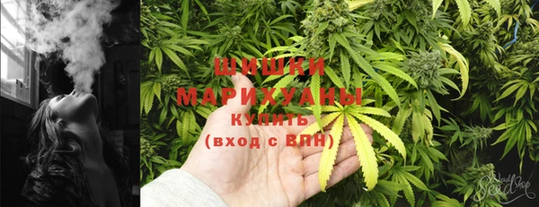 PSILOCYBIN Белоозёрский