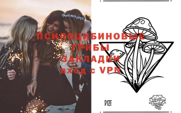 скорость Белокуриха