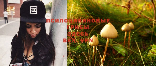 PSILOCYBIN Белоозёрский
